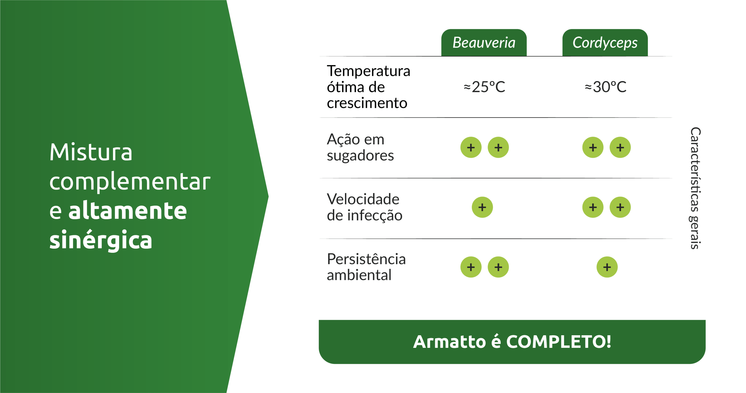 Resultado 3@4x