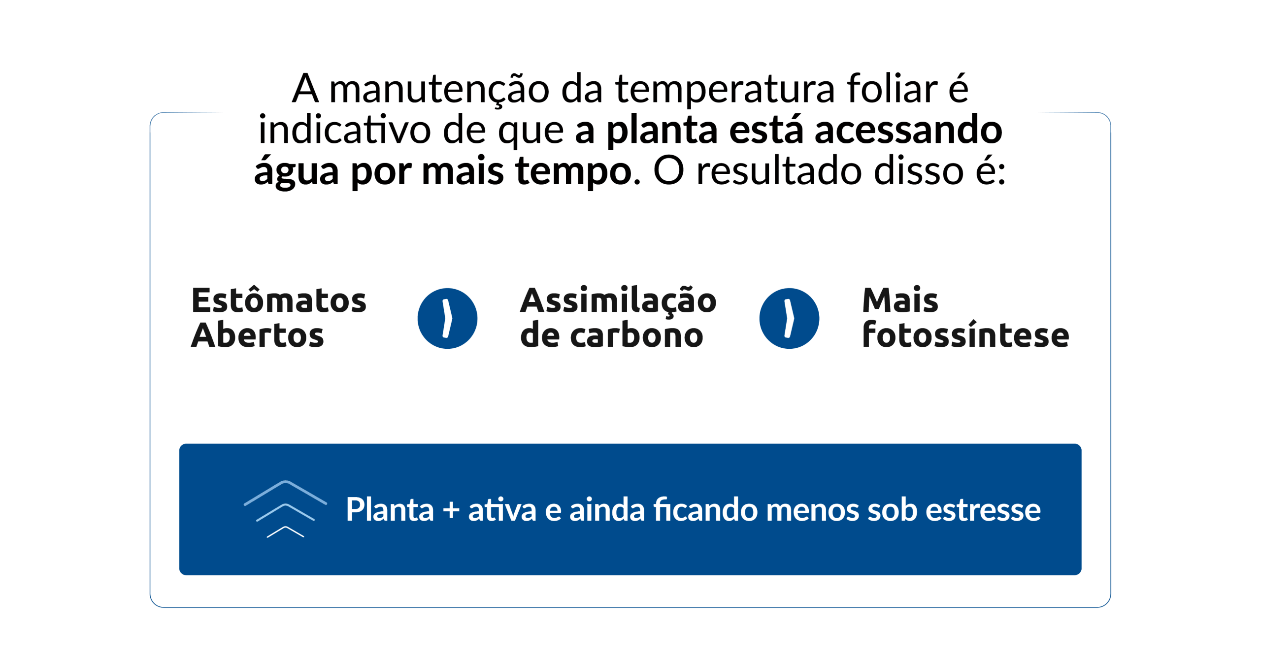 Resultado 3@4x